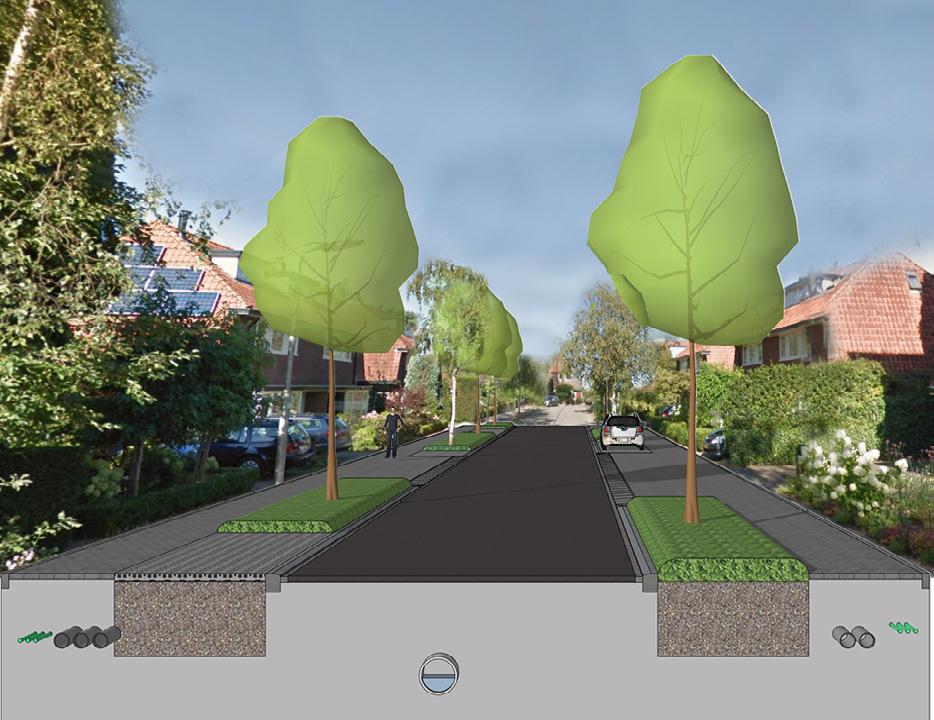 BUYS BALLOTSTRAAT 3 Kenmerken Parkeren op parkeerstroken Nieuwe bomen en bestaande bomen gecombineerd met parkeerstrook Groeiruimte bomen onder parkeervakken