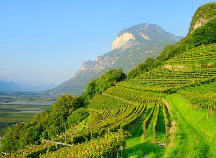 Ondanks zijn noordelijke ligging kent deze regio een warm en zonnig klimaat. Het dal is geschikt voor de groente- en fruitteelt. De flanken zijn geschikt voor de wijnbouw.