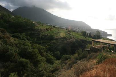 1992 met zijn wijnbouwactiviteiten in Malfa, op het vulkanische eiland Lipari, ten noorden van de Siciliaanse kust. Vandaag beschikt hij over 12ha wijngaard die op biologische wijze worden bewerkt.