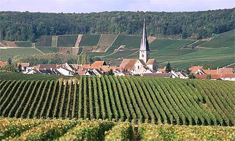 1 Champagne De Champagne-streek, in het noorden van Frankrijk, wordt gekenmerkt door zijn kalkbodems, waarop Chardonnay, Pinot Noir en Pinot Meunier groeien.