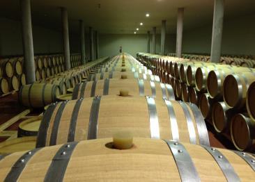 De druif geeft karakter aan de grootste wijnen uit Castilla y León. De oude wijngaarden, vaak in bekervorm, maken steeds vaker plaats voor moderne Guyot-geleide druivenstokken.