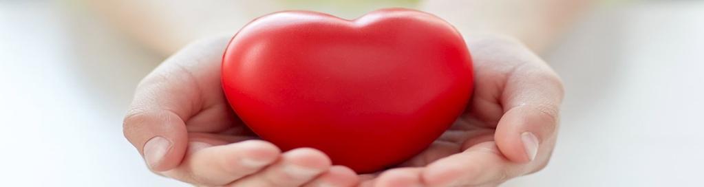 Het hart van de mens is eigenlijk niet meer dan een holle spier, van waaruit de bloedsomloop geregeld wordt.