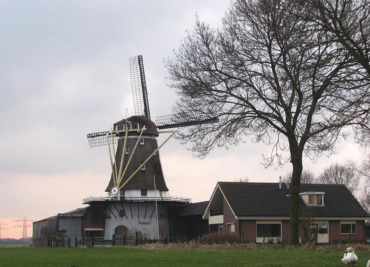 MOLEN DE KRAAI, WESTBROEK De Kraai is een achtkantige korenmolen die in 1880 is gebouwd. Dit ter vervanging van een wipkorenmolen.