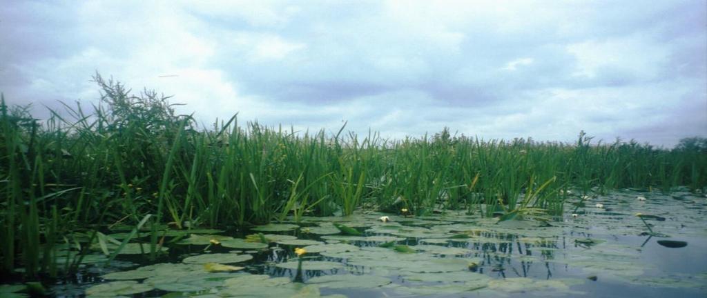 Vereniging Vrienden van Vlietland, Vogelwerkgroep Vlietland, Werkgroep Milieubeheer Leiden, Beheerscommissie Vogelplas Starrevaart, (organisaties die zitting hadden in de Klankbordgroep Herinrichting