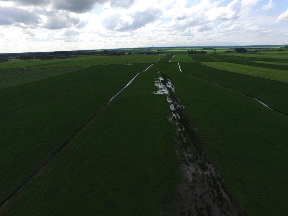 Greppel plas-dras project u Binnen de 66 deelnemers weidevogelbeheer waren er dit jaar 48 plas-dras situaties!