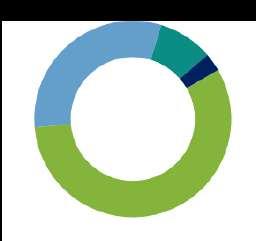 De Groei Portefeuille Vermogensallocatie: Portefeuilledatum: 30/06/19 % Aandelen 57,00 Obligaties 31,00 Cash 9,00 Andere 3,00 Totaal 100,00 Over de laatste drie maanden tot eind juni 2019 bedroeg het