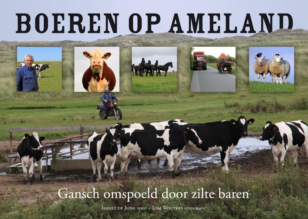 Het boek Boeren op Ameland, gepresenteerd aan gedeputeerde Hans Konst op 15 april 2011 In 2011 zijn er verschillende persmomenten geweest, waarbij in de (landelijke, regionale en lokale) media
