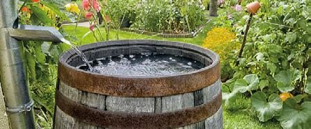Bovendien, als je het regenwater opslaat in een regenton of reservoir, kun je de planten water geven wanneer jij dat wilt, zonder drinkwater te verspillen zie ook stap 6.