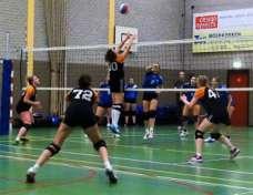 Volley-Zuid bezette de laatste plek op de ranglijst met 8 punten uit 6 duels, maar omdat het nog vrij vroeg in de competitie is, valt er eigenlijk nog niet heel veel over te zeggen.