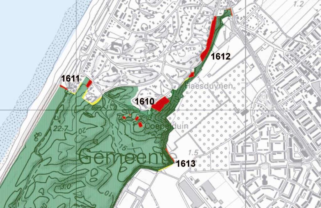 'bestaande natuur en prioritaire nieuwe natuur') 1612 Noordwijk: Koepelweg (drie percelen schrappen als EHS en perceel toevoegen als 'bestaande