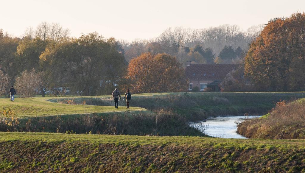 Wandelen langs de oevers van de Nete RIVIERENLAND ONTDEKKEN Op stap in Rivierenland Lancering wandelkaart Samen op pad Wandelen is een ideale manier om het rivierenlandschap te verkennen.