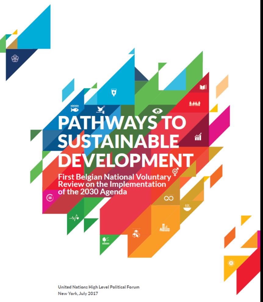 3) Rapportering & Monitoring DO & SDGs International rapportering BE: VNR 2017 op nationaal niveau Politieke stuurgroep, gecoördineerd door 1ste Minister Penhouders in FOD BZ Informatieverzameling