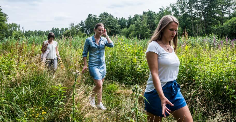 Een trage weg, de snelste route naar een prachtig landschap Beeldbank TPA - Mie De Backer TRAGE WEGEN Trage wegen zijn paden die bestemd zijn voor niet-gemotoriseerd verkeer.