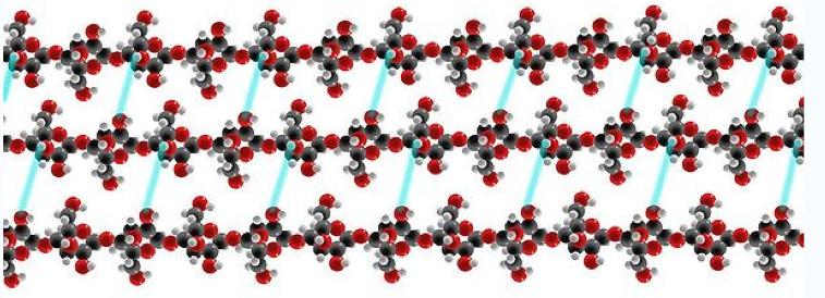 2.3.3. Cellulose De celwanden van planten bestaan uit cellulose. Het zijn heel stevige vezels die grote trekkrachten aankunnen. De molecule bestaat uit onvertakte ketens glucosemoleculen.