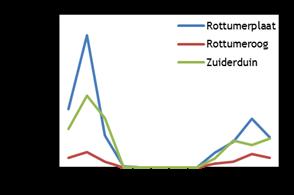 3.2.3. Lepelaar (Rottumerplaat: ++ / ~, Rottumeroog/Zuiderduin ++ / ~ ) In z n totaliteit worden de meeste Lepelaars in de nazomer geteld, vooral in augustus.
