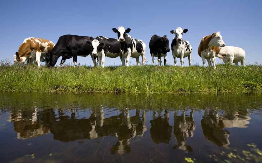 Alterra is onderdeel van de internationale kennisorganisatie Wageningen UR (University & Research centre). De missie is To explore the potential of nature to improve the quality of life.