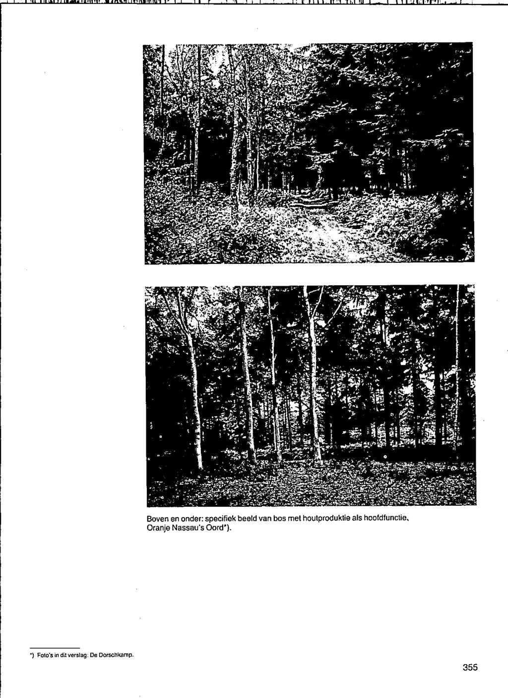 0' "; Boven en onder: specifiek beeld van bos met houtproduktie als