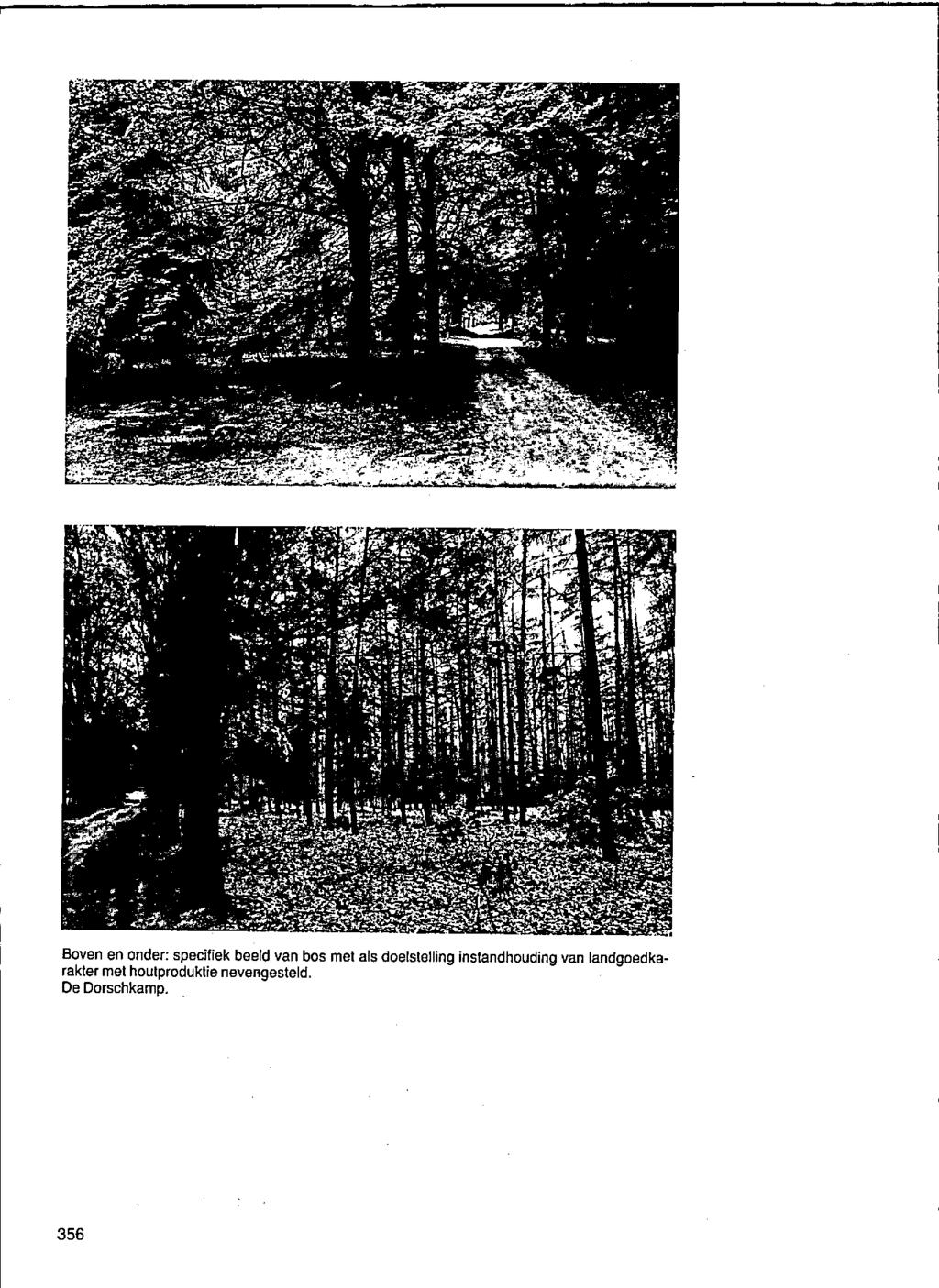 Boven en onder: specifiek beeld van bos met als doelstelling
