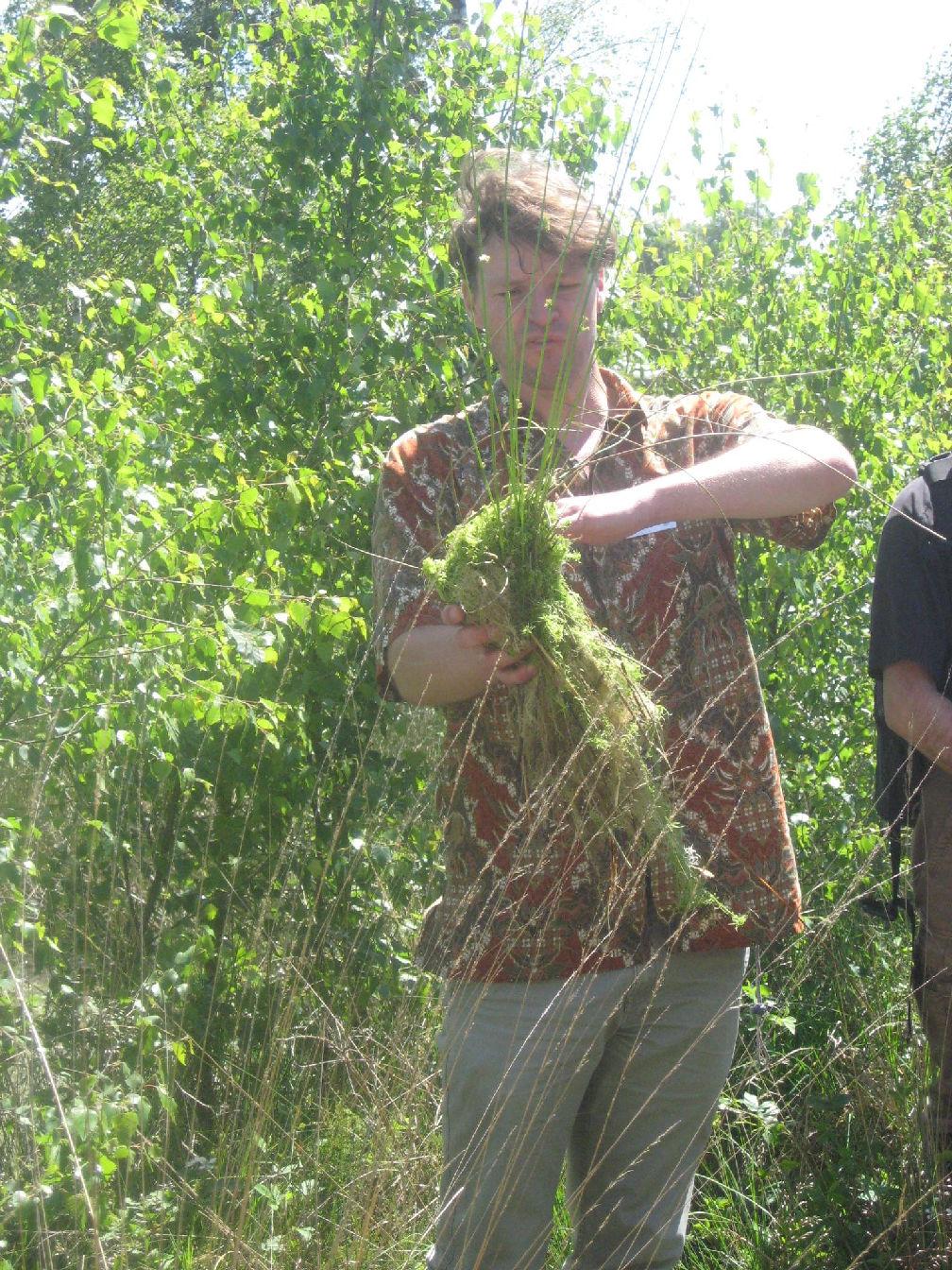 van stikstof, het herstel van de hydrologie, het herstel van gradiënten, plaggen, maaien en de mogelijke herintroductie van soorten.