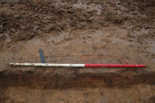 2 Spoor 174 In spoor 174 werd een randfragment gevonden van wat waarschijnlijk een Romeinse beker is geweest. Dit is de enige vondst uit dit spoor.