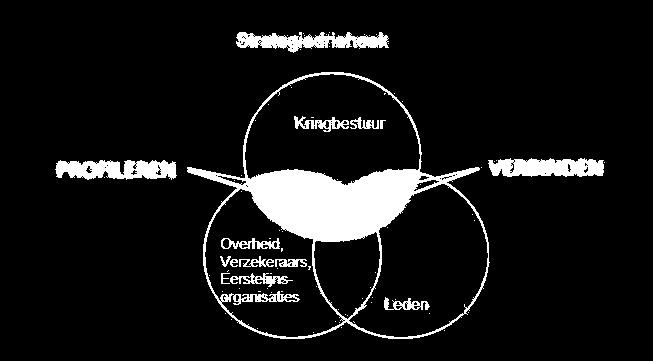 4. De strategie 2017-2019 in compacte vorm In de voorgaande hoofdstukken is toegelicht wat het bestuur beoogt. Wat is dan nu de kern van de strategie voor de jaren 2017-2019?