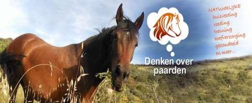 Denken over paarden.