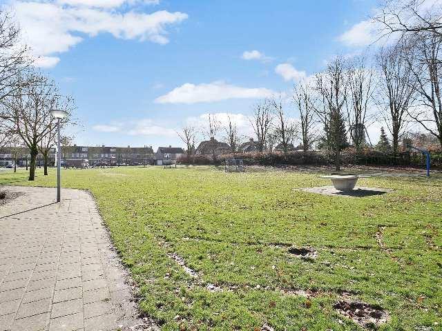 Voorzieningen zoals winkels en uitvalswegen richting stadscentrum en snelwegen liggen