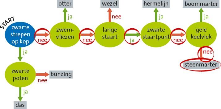 Test jezelf 1 a Je kuitspier is een orgaan. goed b Al je botten samen vormen een orgaanstelsel. goed c Je maag is een orgaan. goed d Je longen vormen samen het ademhalingsstelsel.