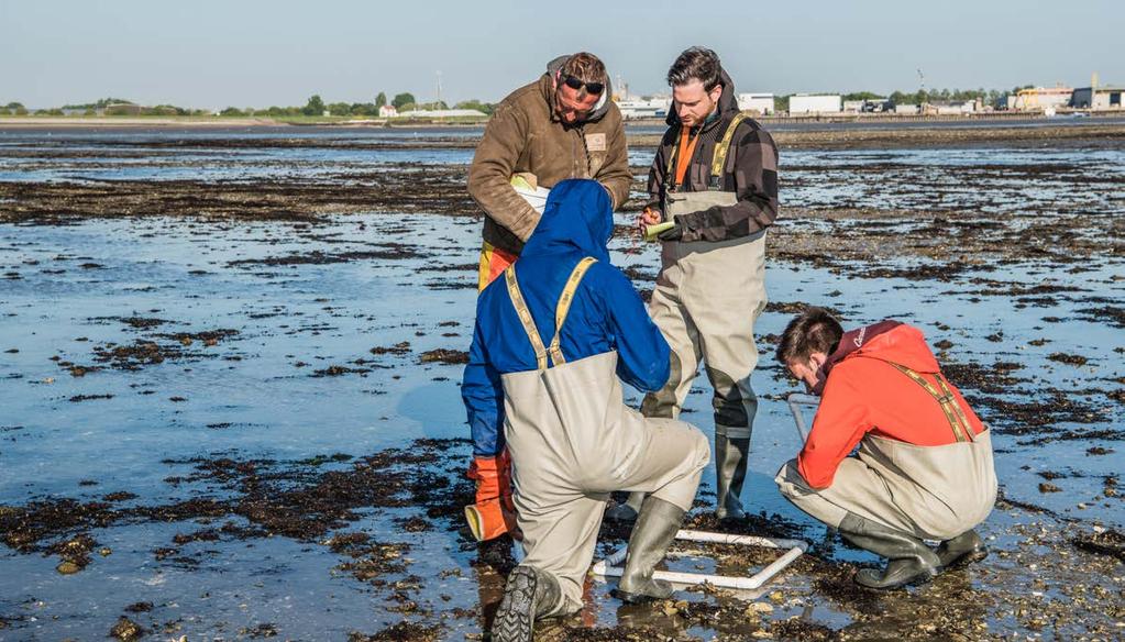 10 VOORTGANGSRAPPORTAGE EERSTE EN TWEEDE KWARTAAL 2019 UCR Engineering Department Onder verantwoordelijkheid UCR: Doorontwikkelen uitwerking van curriculum (cursussen, projecten, stages);