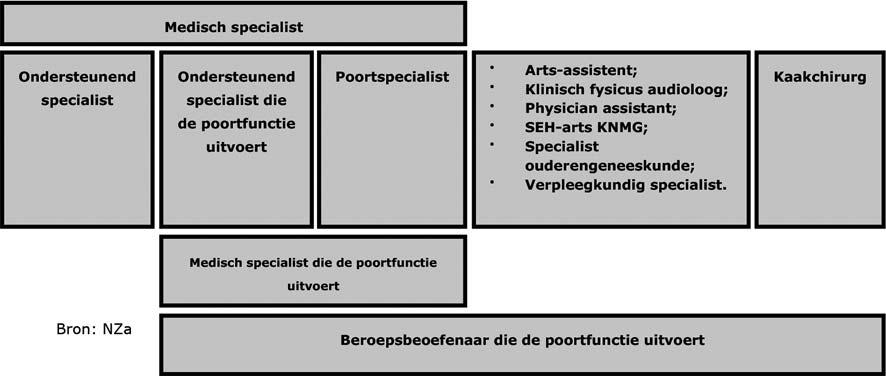 Figuur 1 Overzicht beroepsbeoefenaren dd. Poortspecialist De medisch specialist van het poortspecialisme waarnaar een patiënt wordt verwezen voor medischspecialistische zorg.