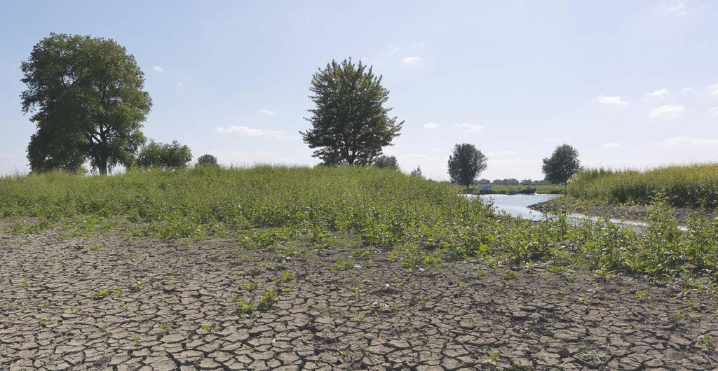 5.1 Wat is droogte? Zelfs in Nederland is wel eens tekort aan water. Aan zoetwater wel te verstaan. De kurkdroge zomers van 1976, 2003, 2018 en het droge voorjaar van 2006 zijn hiervan voorbeelden.