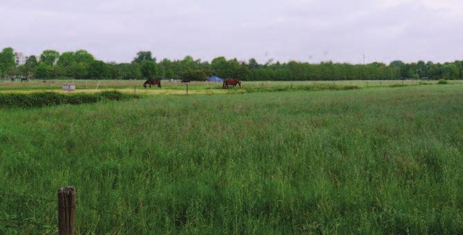 1 PLANGEBIED: OPEN WEILANDEN DOORBREKEN ISOLEMENT Het plangebied bevindt zich ten noorden van recrea