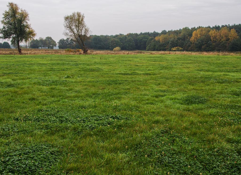 Omschrijving Op Parksesteeg 12 was in het verleden een agrarisch bedrijf gevestigd, inmiddels zijn echter de stallen verdwenen en wordt er op deze plek plaatsgemaakt voor wonen.