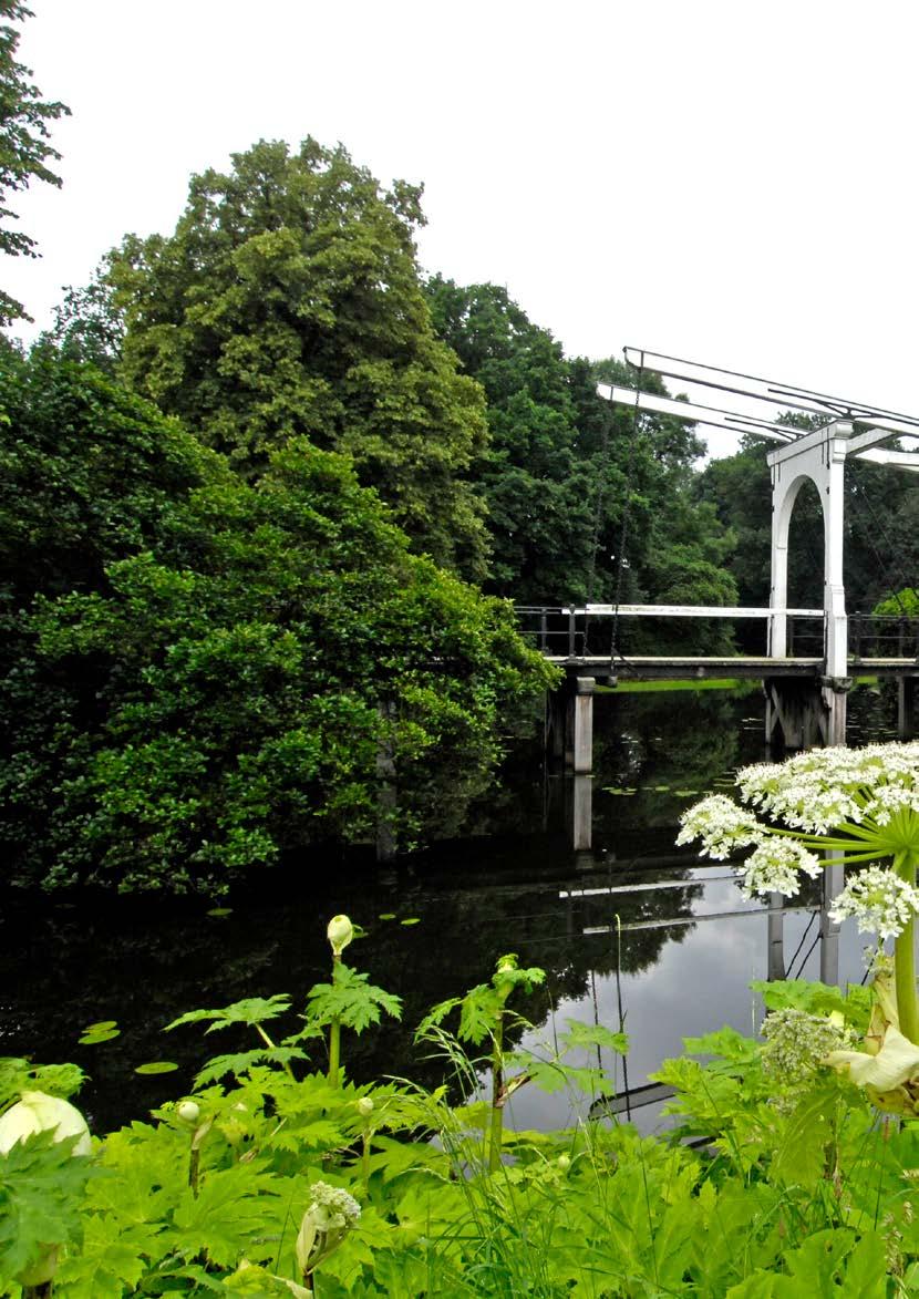 INTRODUCTIE Sinds 2011 verzorgt Nyenrode Business Universiteit in samenwerking met het Verbond van Verzekeraars het