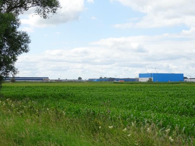 weiland aan de noordkant van de Gorseweide zat ook een groep van 11 wulpen, waaronder jonge vogels, wellicht ook het drietal dat hier al eerder werd waargenomen.