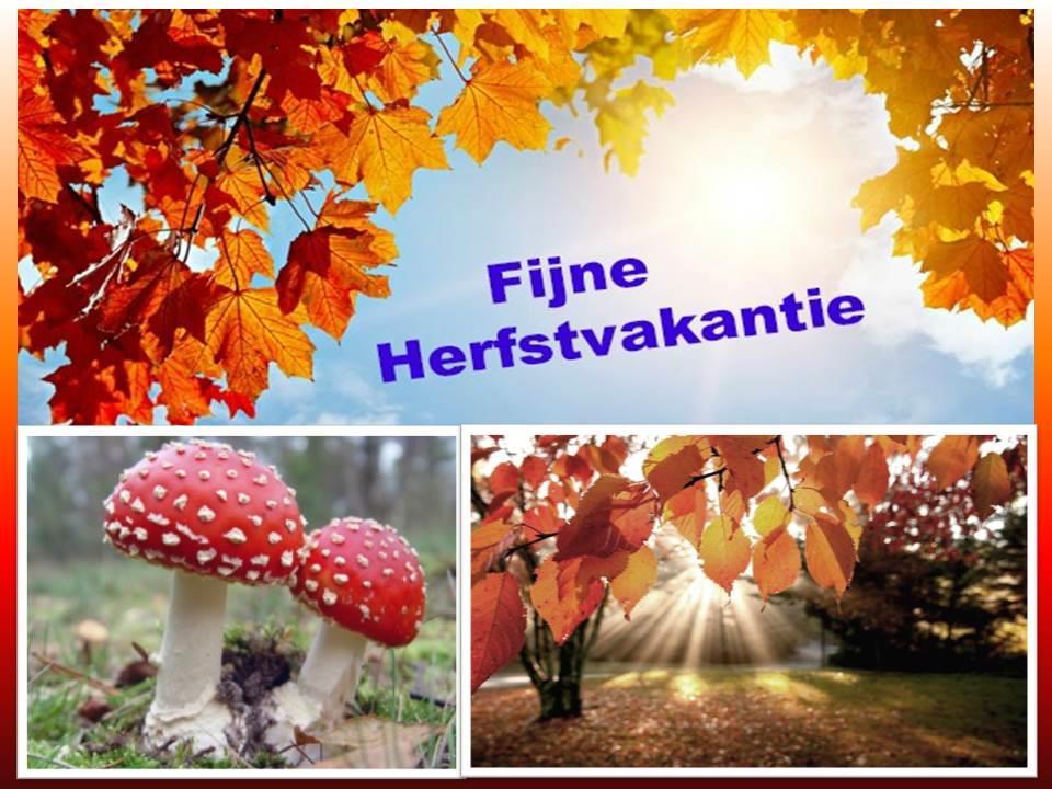 Herfstvakantie De herfstvakantie start voor de groepen 1 en 2 op donderdag 20 oktober en voor de groepen 3