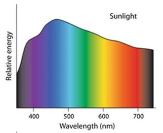 Lichtkleuren Zonlichtspectrum: (bijna) gelijke delen blauw, groen, rood en verrood licht Lampen geven beperkt spectrum Hoge intensiteiten/beperkt spectrum kan