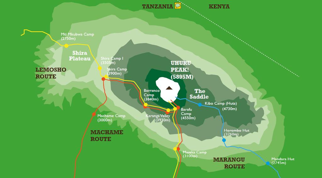 Diverse routes De top van de Kilimanjaro kan via verschillende routes bereikt worden, waarvan de Marangu route en de Machame route de meest populaire routes zijn.