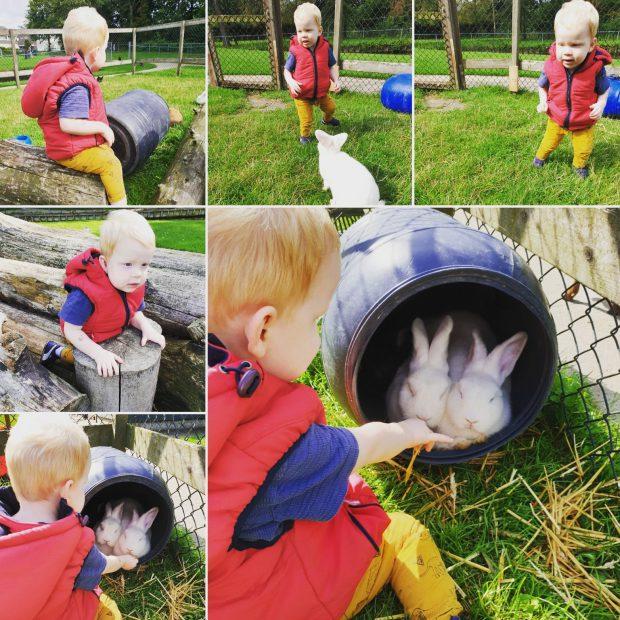 Ja Max is en blijft gek op konijnen, zoals hij het zelf zegt nijn Dus af en toe moeten we even naar de kinderboerderij om