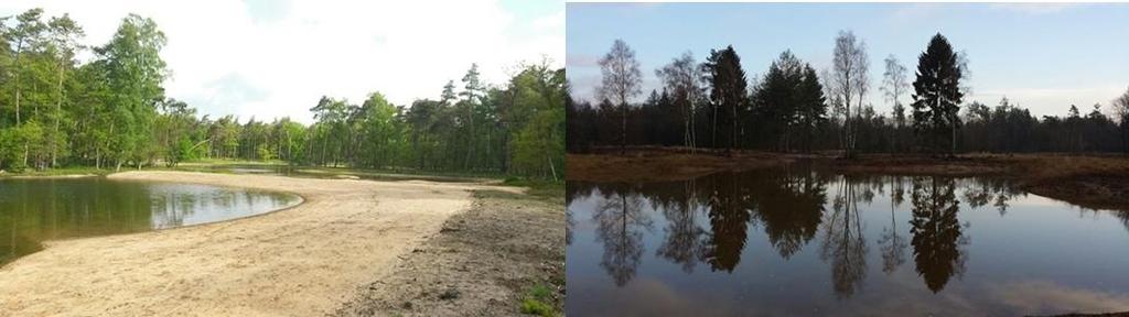 Zeer ingewikkeld om te implementeren, want het vereist landgebruikverandering in Natura2000 landschap Infiltratie oppervlaktewater a.