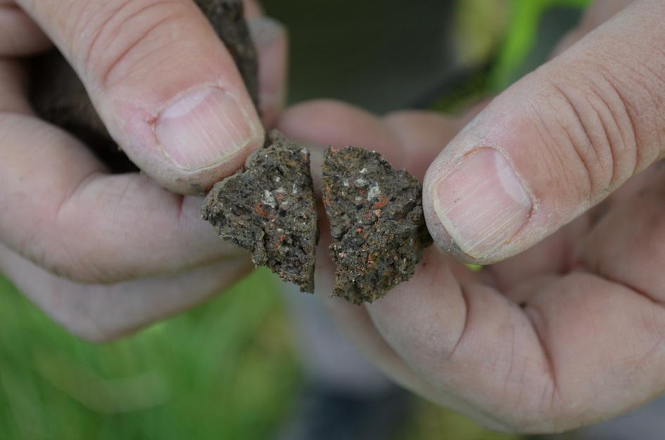 Boornummer Vondstnummer Indicator Datering Omschrijving Laag (cm Mv) 3 1 aardewerk Late IJzertijd- Romeinse Tijd Handgevormd, 4 fragmenten vondstlaag (25-50 cm) 4 2 aardewerk Late IJzertijd- Romeinse