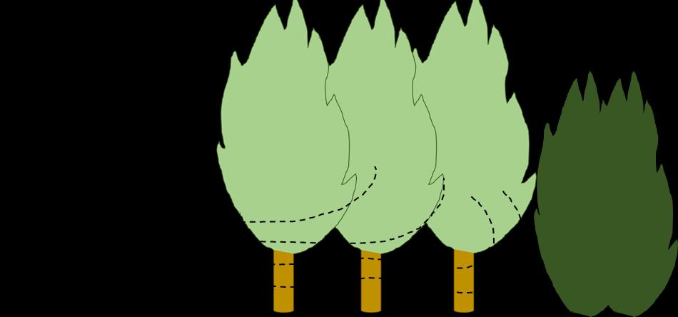 Windsingels en houtkanten Literatuuronderzoek naar potentieel van windsingels en houtkanten als