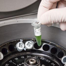 Laboratoriumidentificatie Markering van het staalproces Labels voor centrifuge en microcentrifuge Brady biedt een ruim assortiment labels voor centrifuge, Eppendorf- en PCR-buisjes aan.