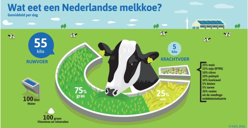 Nadere toelichting Duurzaam veevoer De Nederlandse melkkoe eet vooral gras en maïs. De rest is krachtvoer, dat onder andere uit restproducten en sojameel bestaat.