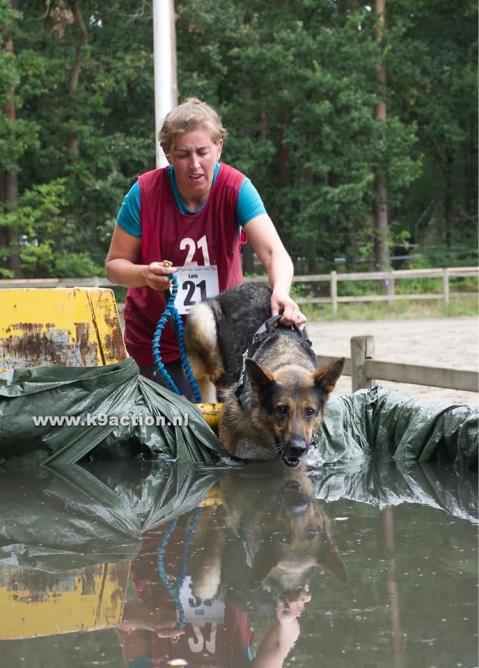 Op 3 augustus gingen we een stapje verder en deden we mee aan de Dogbiathlon voor politie en militairen. Een intensief parcour met veel loopwerk, pakwerk op volledig kostuum.