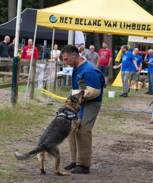 Dit was ook toegankelijk voor VVDH leden, IGP honden.