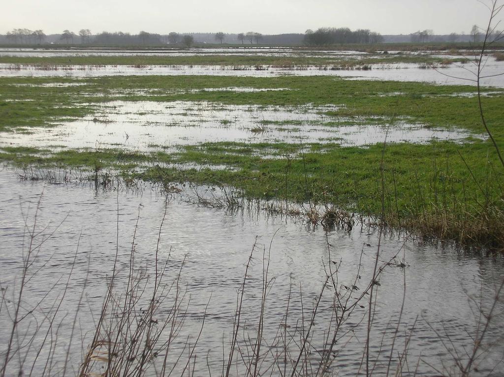 Maatregelen Amerdiep Beekherstel Water vasthouden