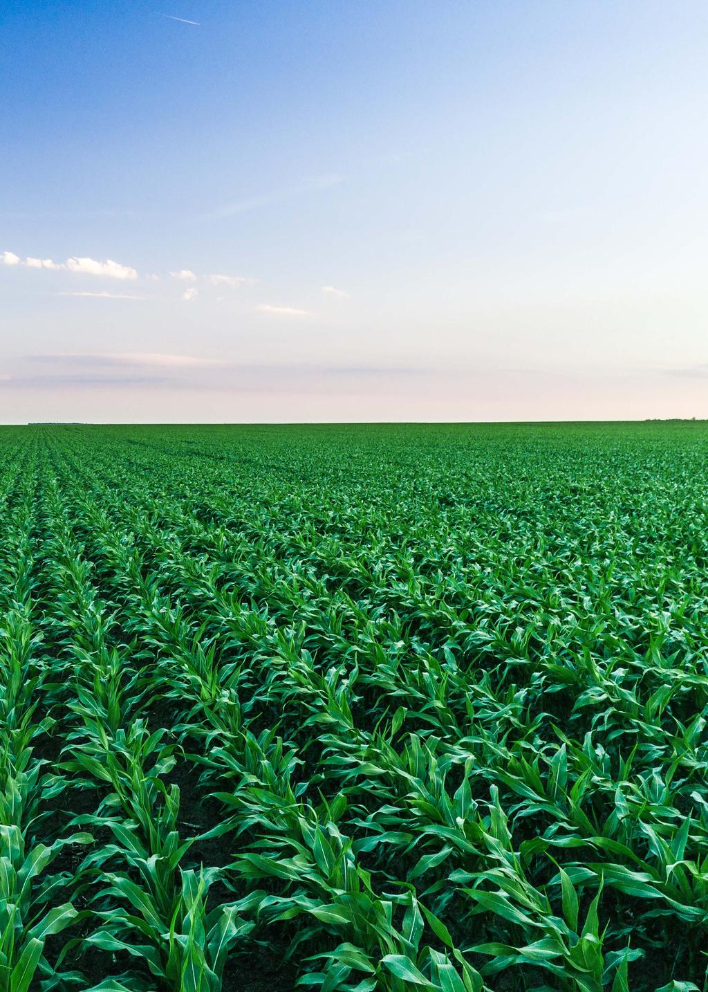 Wij van AGRONIC weten dat het werk in weinig tijd gedaan moet worden.