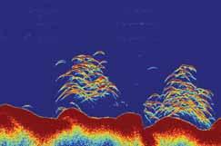 De CHIRP SideVision -sonar vergroot uw onderwaterhorizon met oever-tot-oever-beelden van vis, aas en onderwaterstructuren.