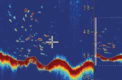 RealVision 3D HyperVision Conventionele CHIRP-sonar Digitale sonar RealVision 3D geeft vissers de mogelijkheid om te zien